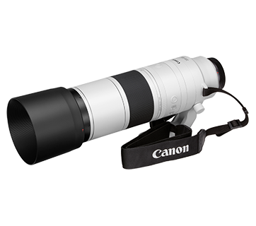 Lenses - RF200-800mm f/6.3-9 IS USM - Canon India